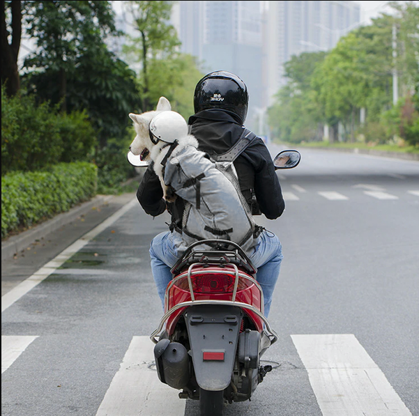 Olvoria | Dog Backpack Carrier