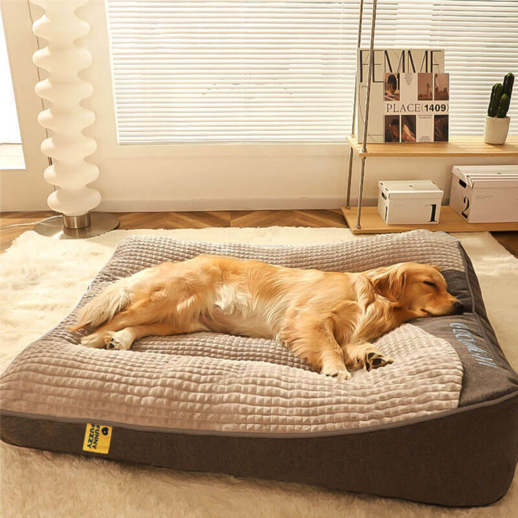 Olvoria | Dog Bed - Thick Cushion with Spine Support