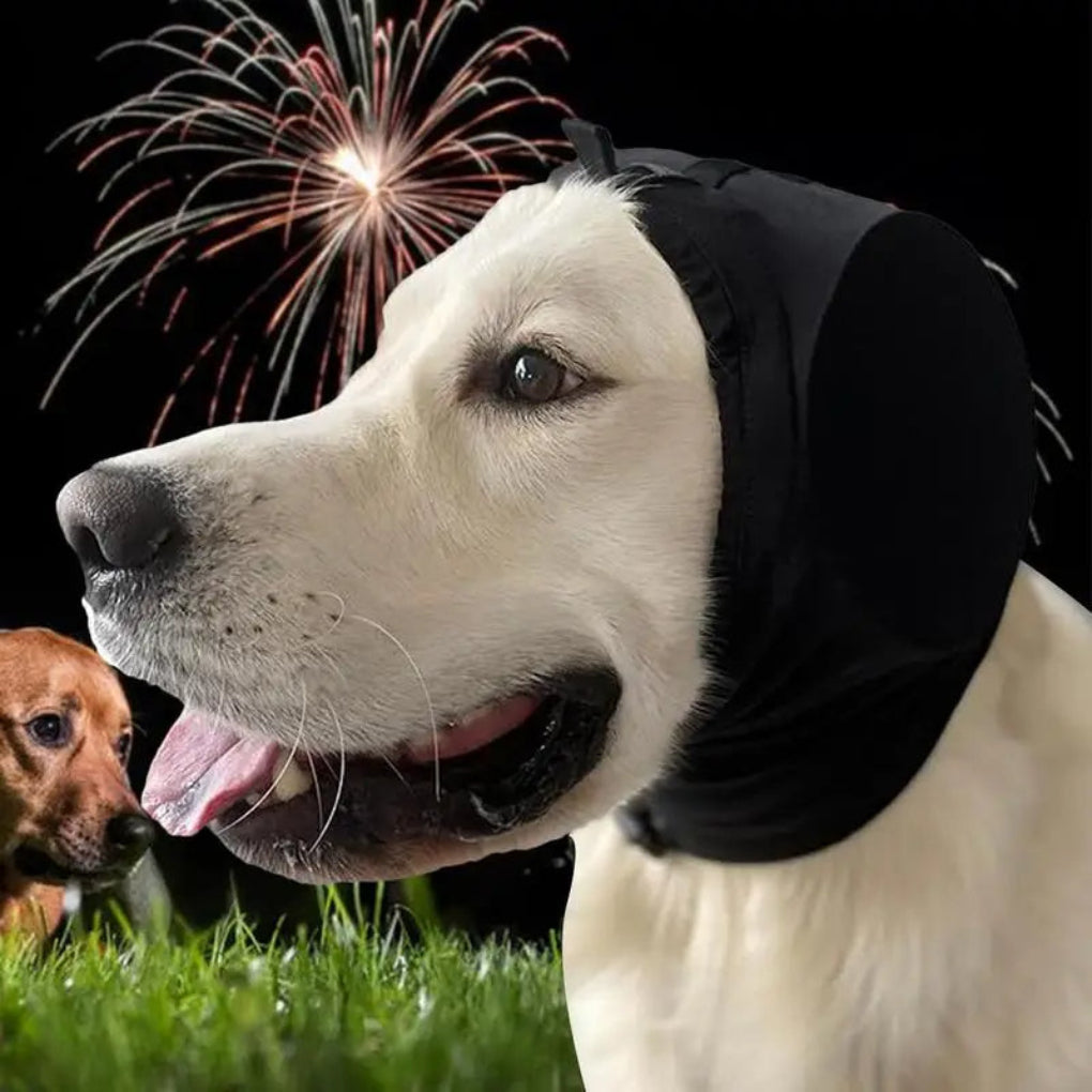 Olvoria | Dog Noise Canceling Hood for Anxiety Relief
