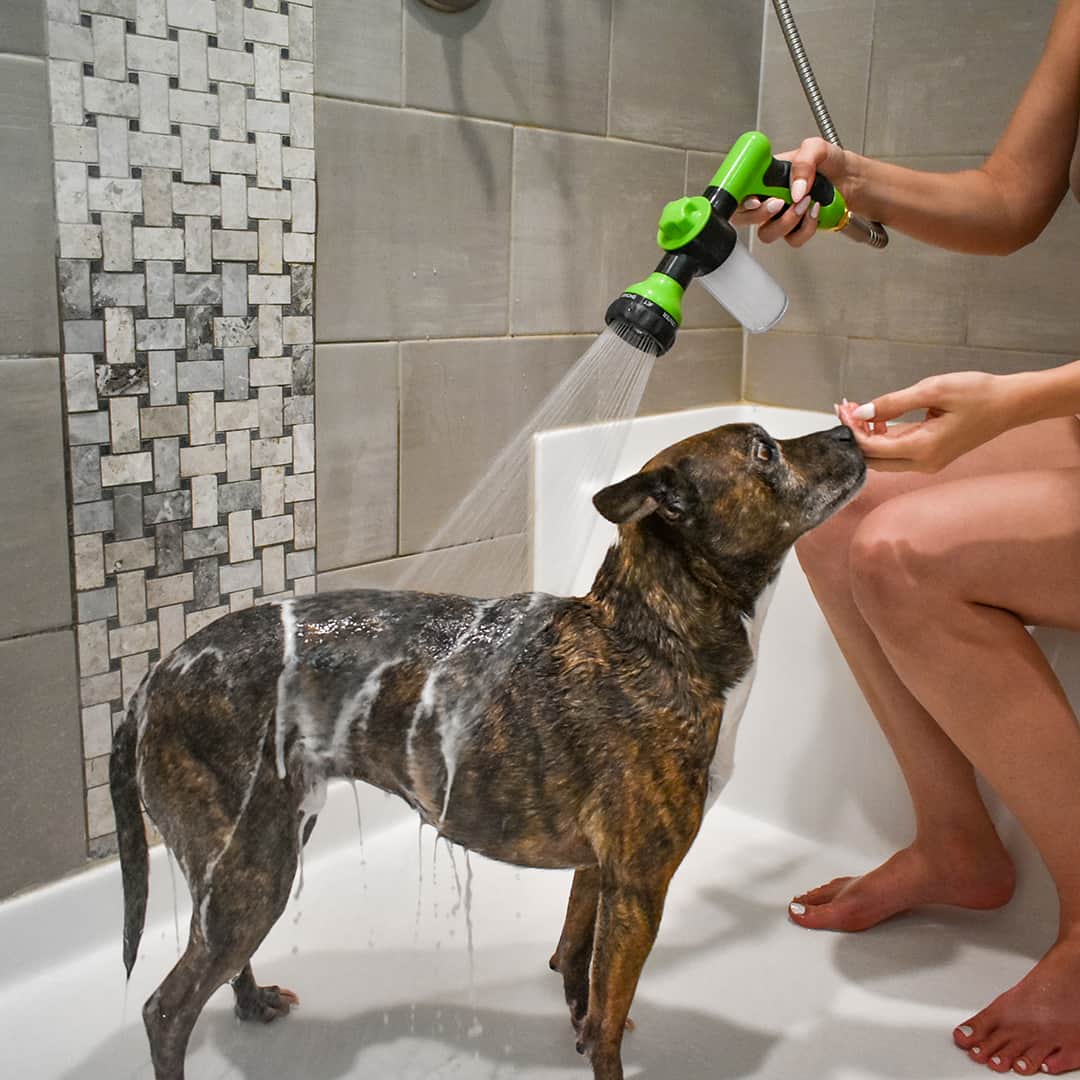 Olvoria | Dog Shower Sprayer - WashBuddy