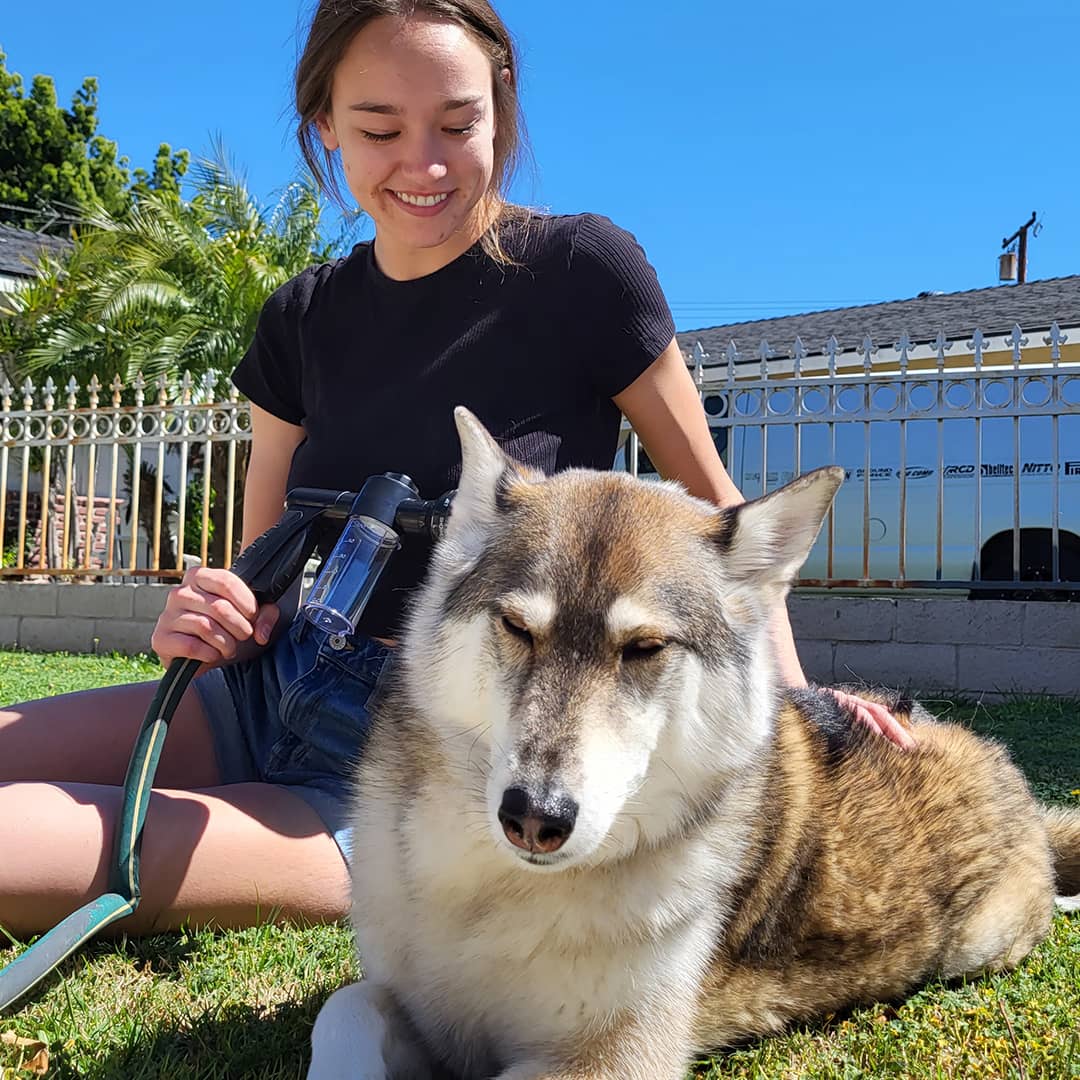 Olvoria | Dog Shower Sprayer - WashBuddy
