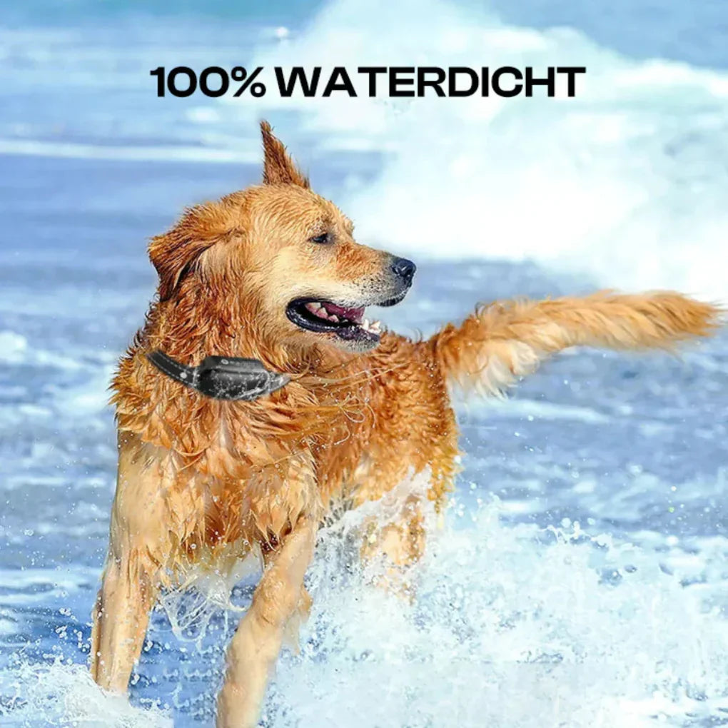 Olvoria | Dog Training Collar with Remote