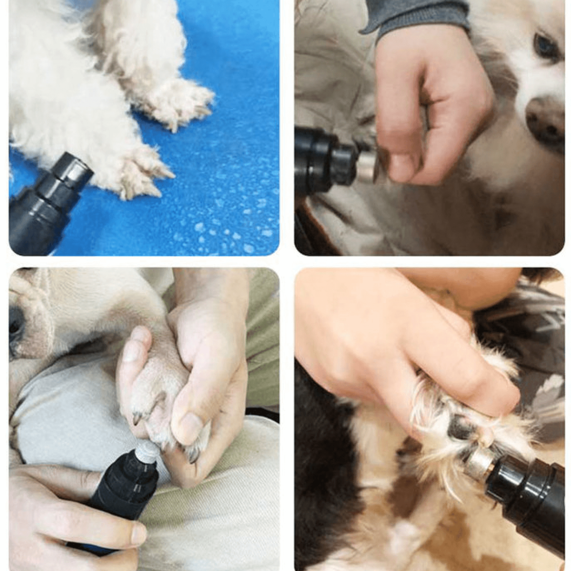 Olvoria | Electric Dog Nail Clipper Grinder for Dogs and Cats