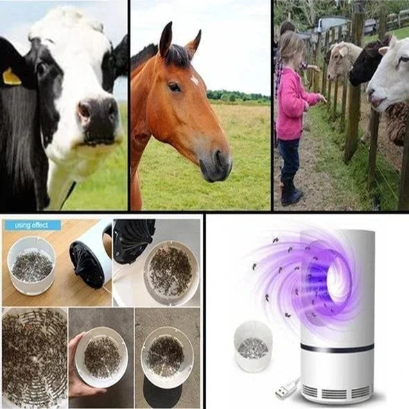 Olvoria | Electric Mosquito Lamp Insect Killer Suction Function