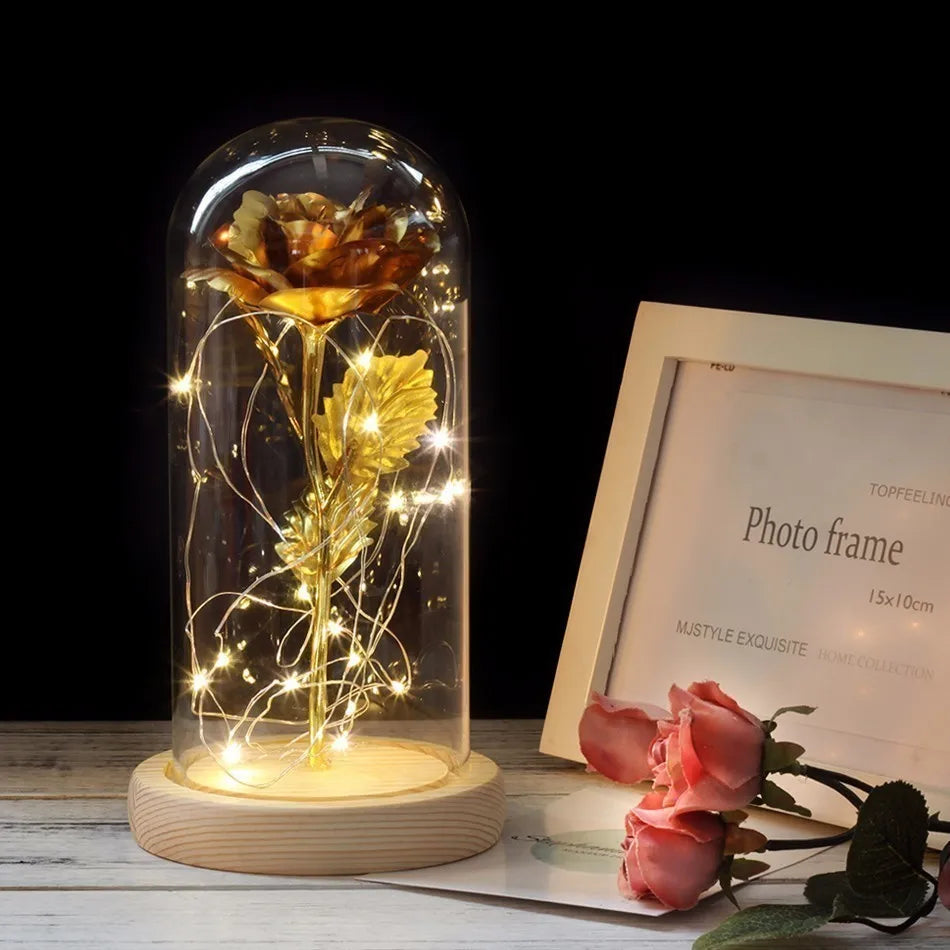 Olvoria – Eternal Rose in Glass Dome with Atmospheric LED Lighting