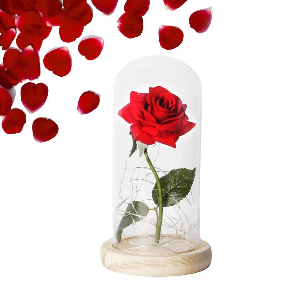 Olvoria – Eternal Rose in Glass Dome with Atmospheric LED Lighting