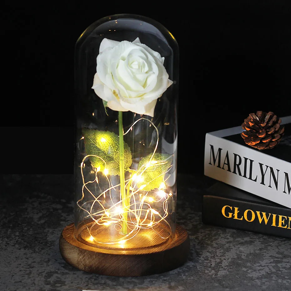 Olvoria – Eternal Rose in Glass Dome with Atmospheric LED Lighting