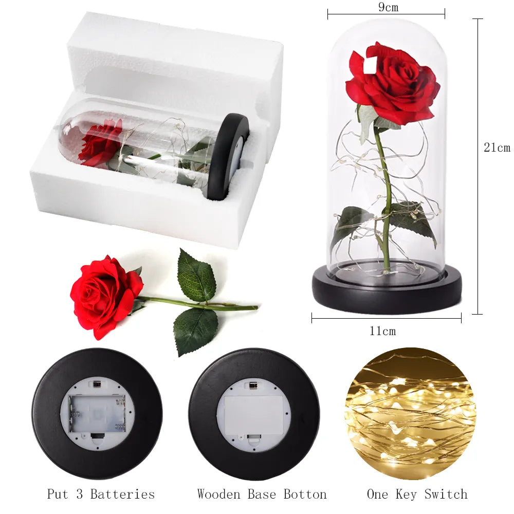 Olvoria – Eternal Rose in Glass Dome with Atmospheric LED Lighting