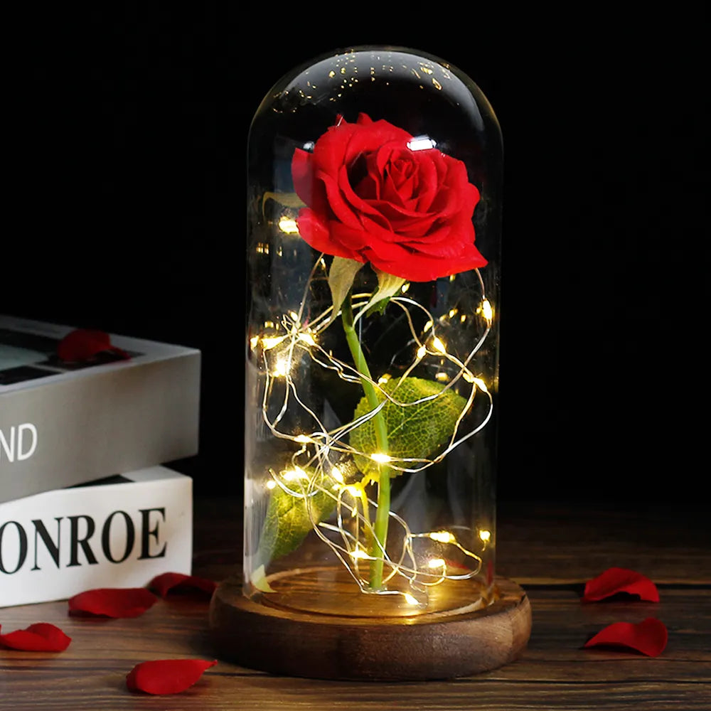 Olvoria – Eternal Rose in Glass Dome with Atmospheric LED Lighting