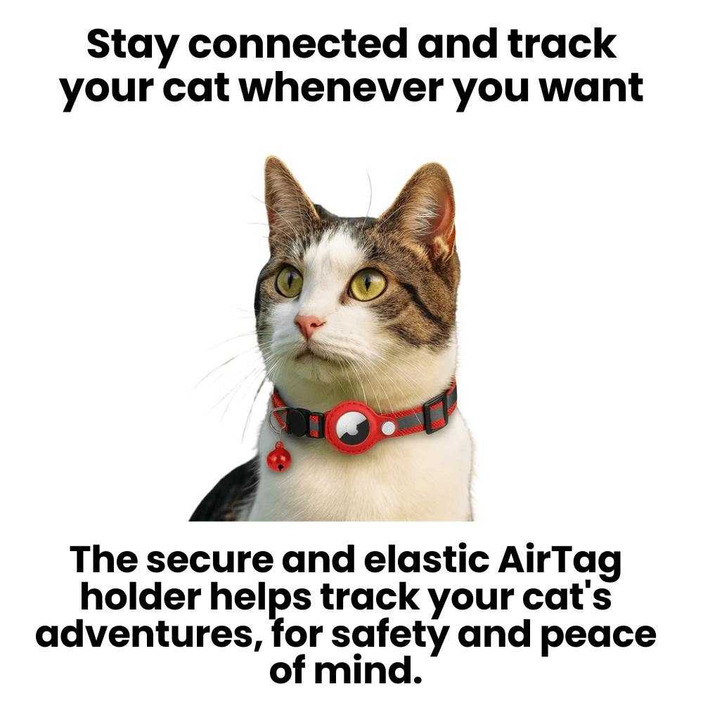 Olvoria | GPS Collar for Cats with Reflective Design