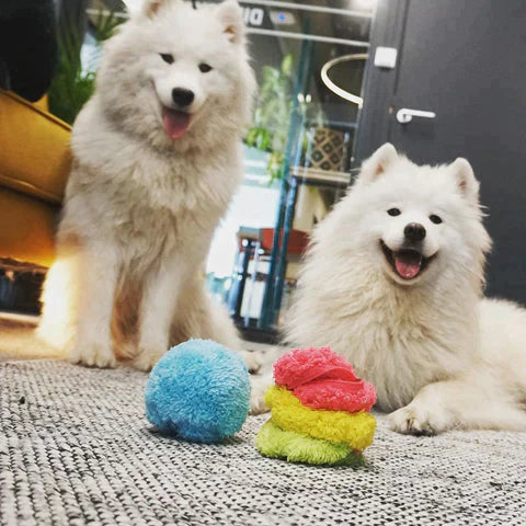 Olvoria | Interactive Dog Play Ball - Automatic Rolling Ball