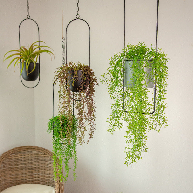 Olvoria | Luxury Modern Hanging Pots