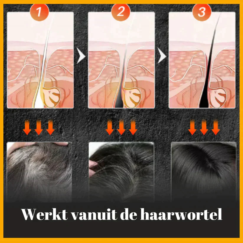 Olvoria | Men's Grey Coverage Shampoo Bar for Hair & Beard