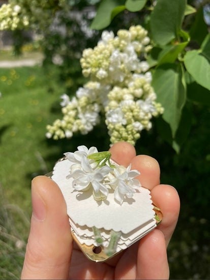 Olvoria | Mini Flower Press | Compact Botanical Keepsake Maker | Portable Craft Tool