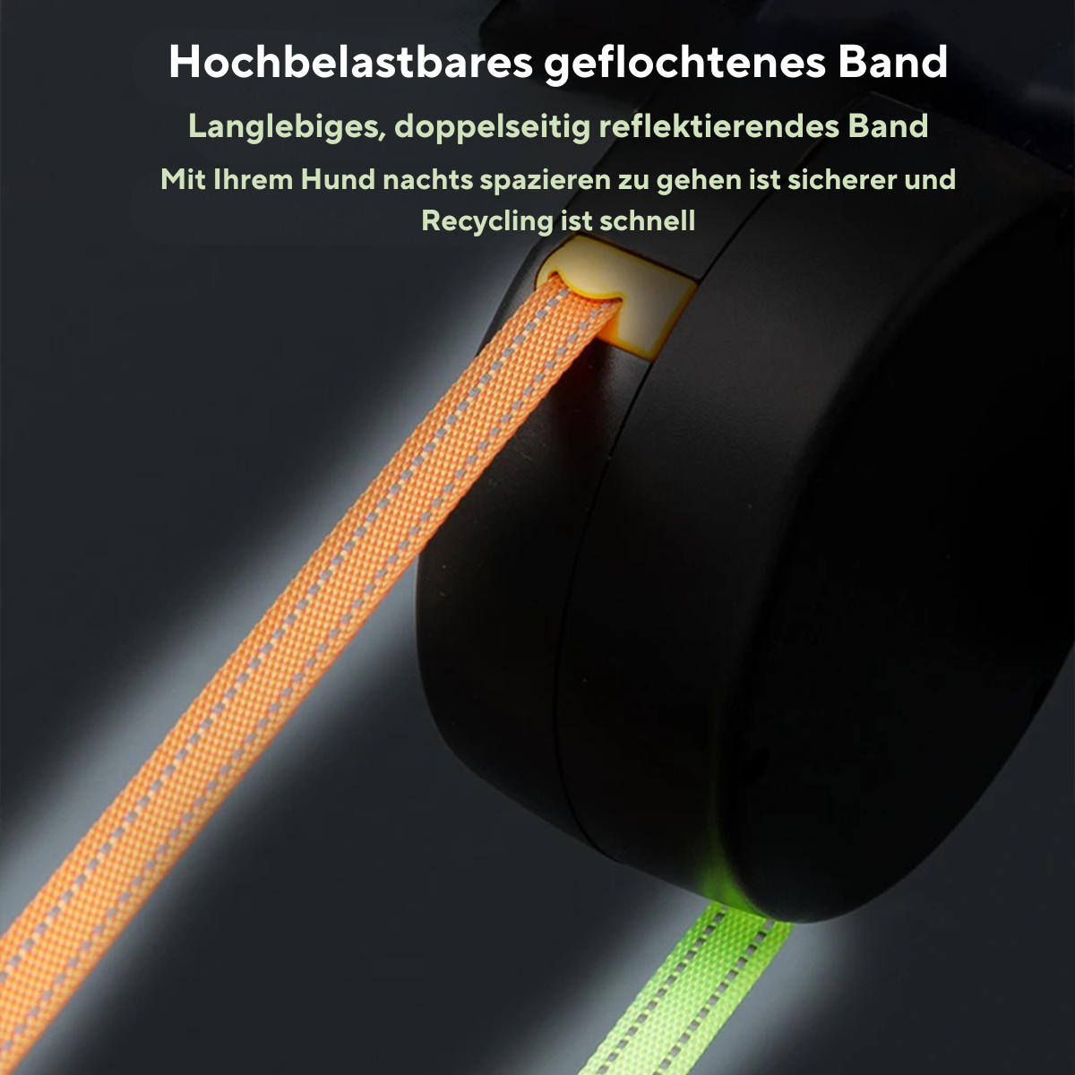 Olvoria | Never Tangle Again – Double Leash for Dogs with LED Light