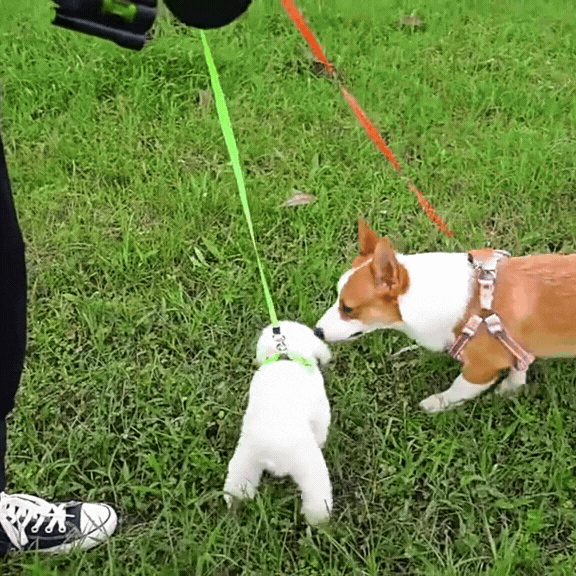 Olvoria | Never Tangle Again – Double Leash for Dogs with LED Light