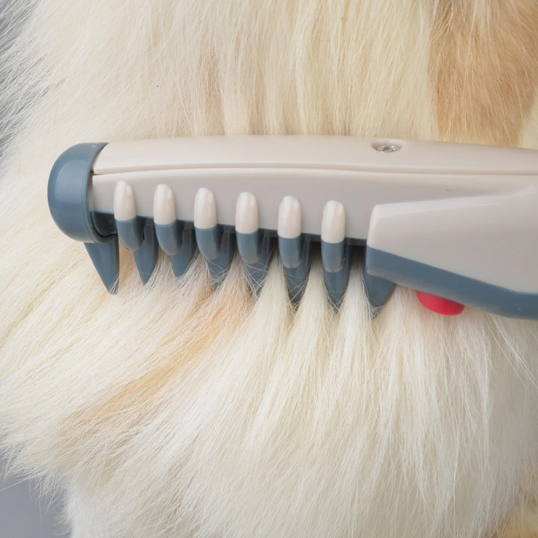 Olvoria | No more knots and tangles for your pet