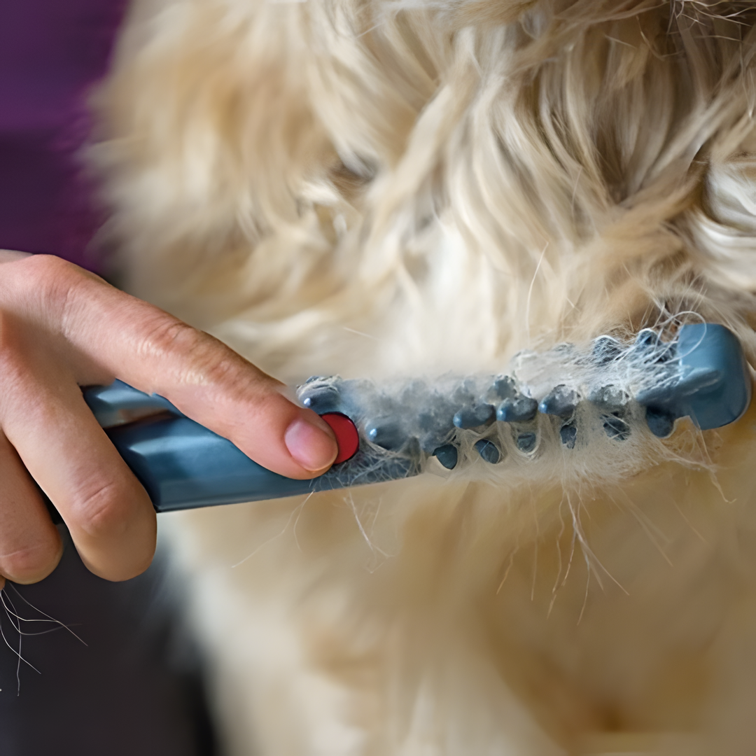 Olvoria | No more knots and tangles for your pet