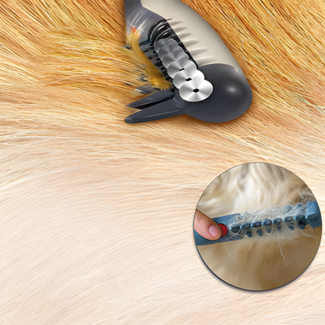 Olvoria | No more knots and tangles for your pet