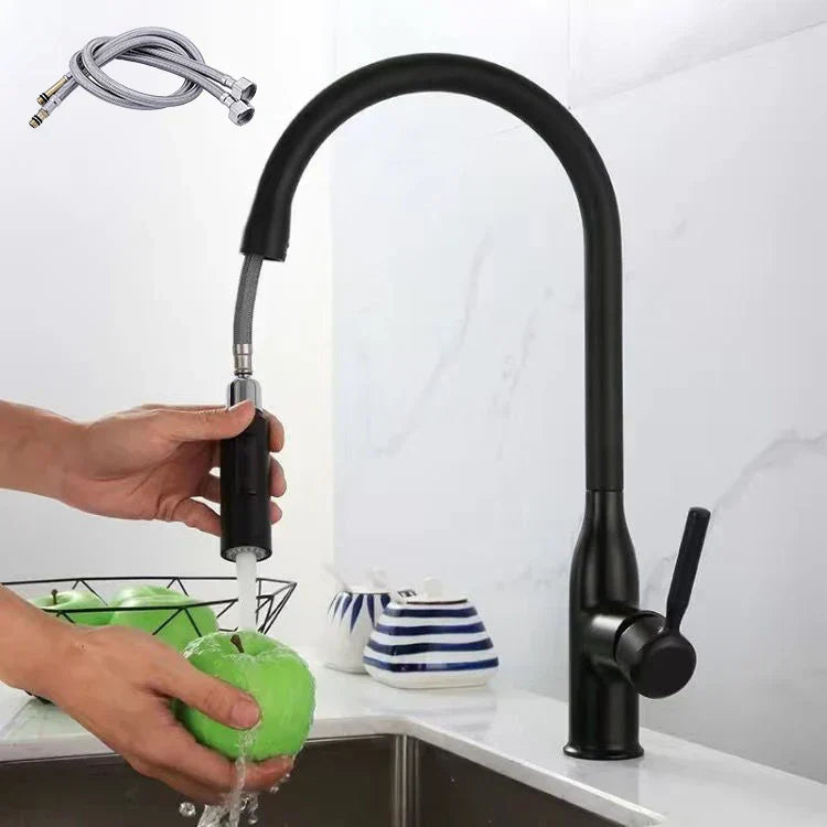 Olvoria | PureFlow - Kitchen Faucet with Pull-Down Hand Shower