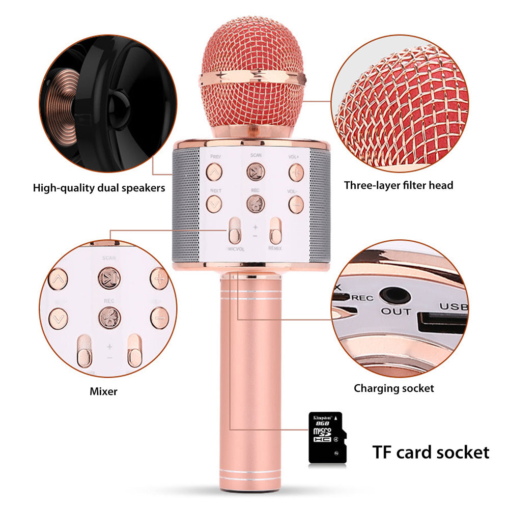 Olvoria | Rechargeable Wireless Bluetooth Karaoke Microphone