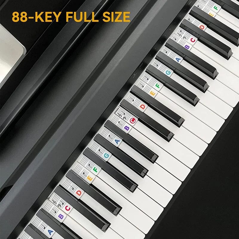 Olvoria | Removable Piano Keyboard Note Labels
