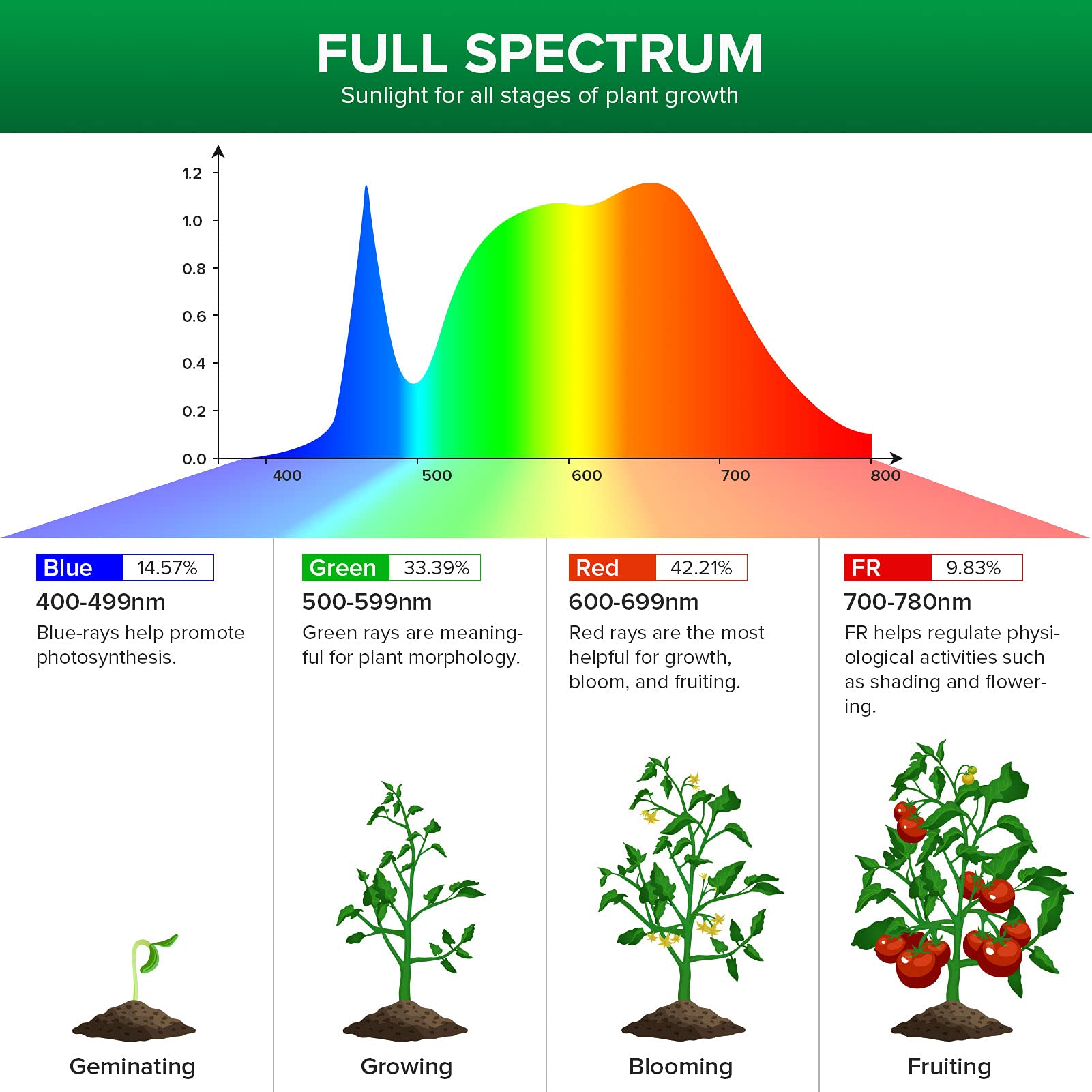 Olvoria | SANSI 24W Grow Light Bulb, Full Spectrum, High Ppfd, Perfect For Indoor Plants And Flowers