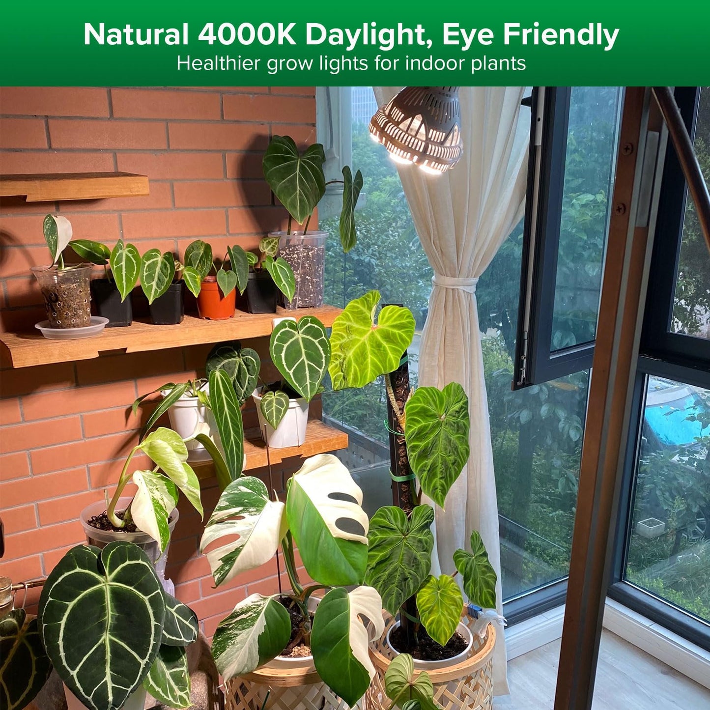 Olvoria | SANSI 24W Grow Light Bulb, Full Spectrum, High Ppfd, Perfect For Indoor Plants And Flowers