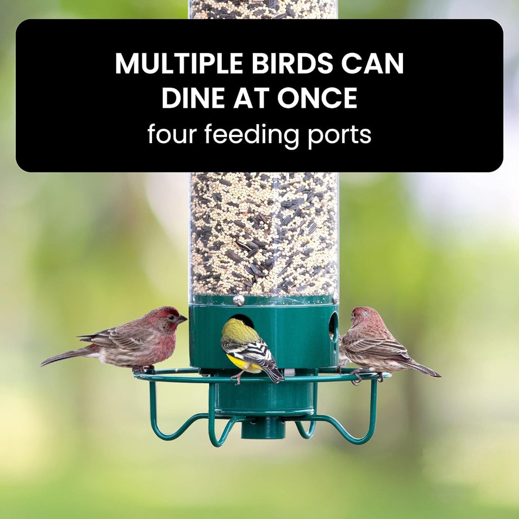 Olvoria | Squirrel-Proof Bird Feeder with Multiple Feeding Ports