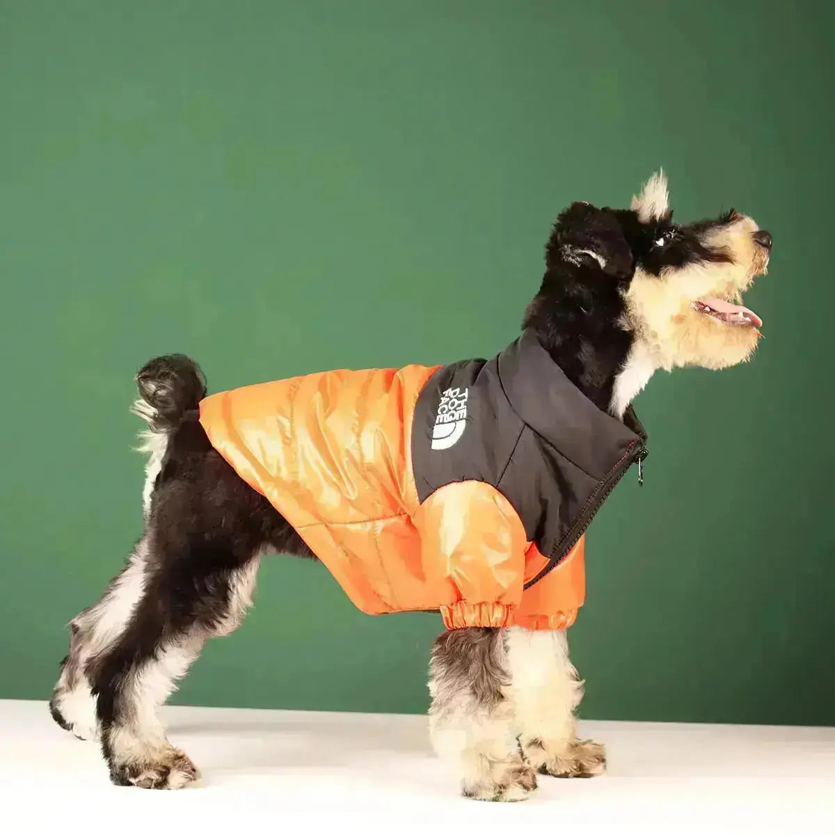 Olvoria | The Dog Face Jacket - Type A