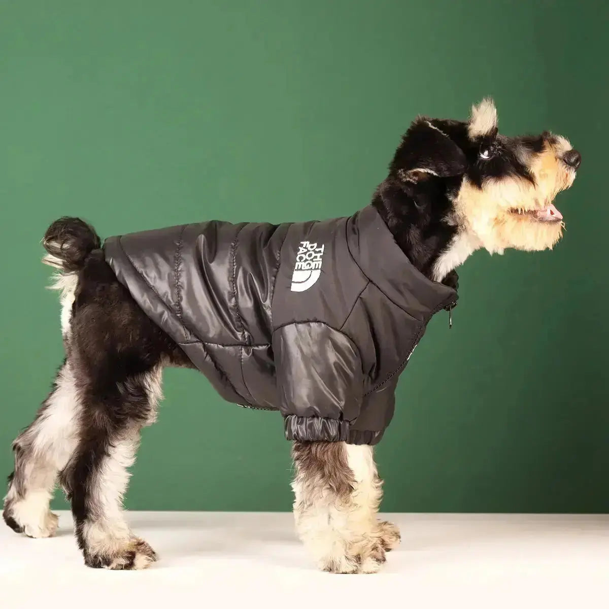 Olvoria | The Dog Face Jacket - Type A