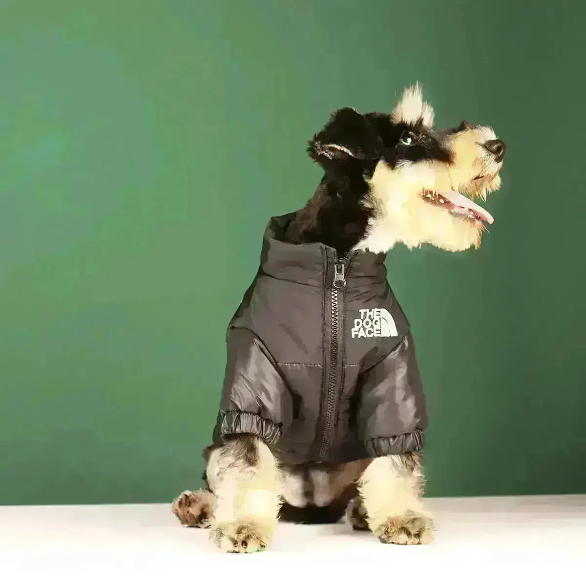 Olvoria | The Dog Face Jacket - Type A
