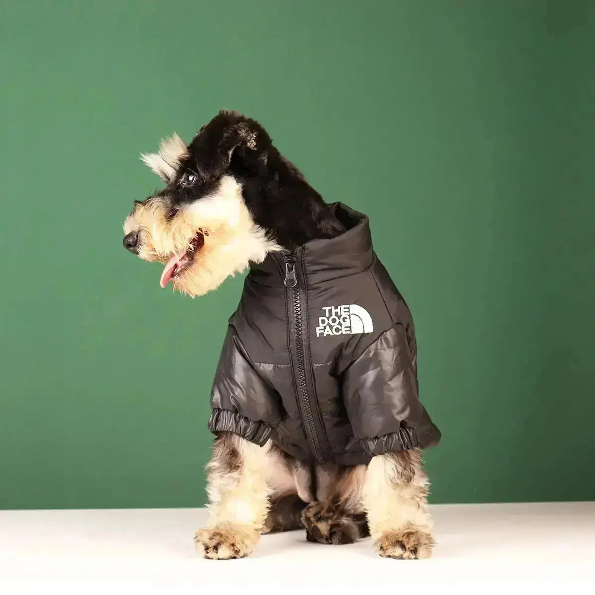 Olvoria | The Dog Face Jacket - Type A