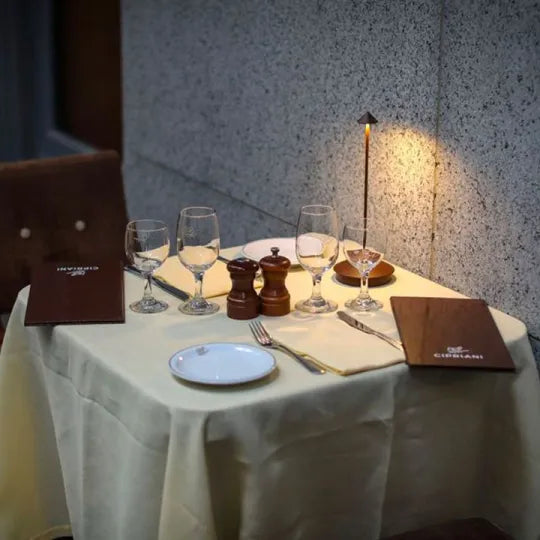Olvoria | Wireless LED Table Lamp Rechargeable Dimmable Lighting