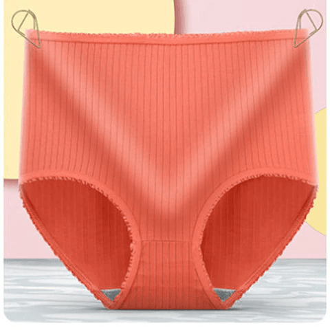 Olvoria | Women's Leakproof Period Panties High Waist Ribbed Briefs
