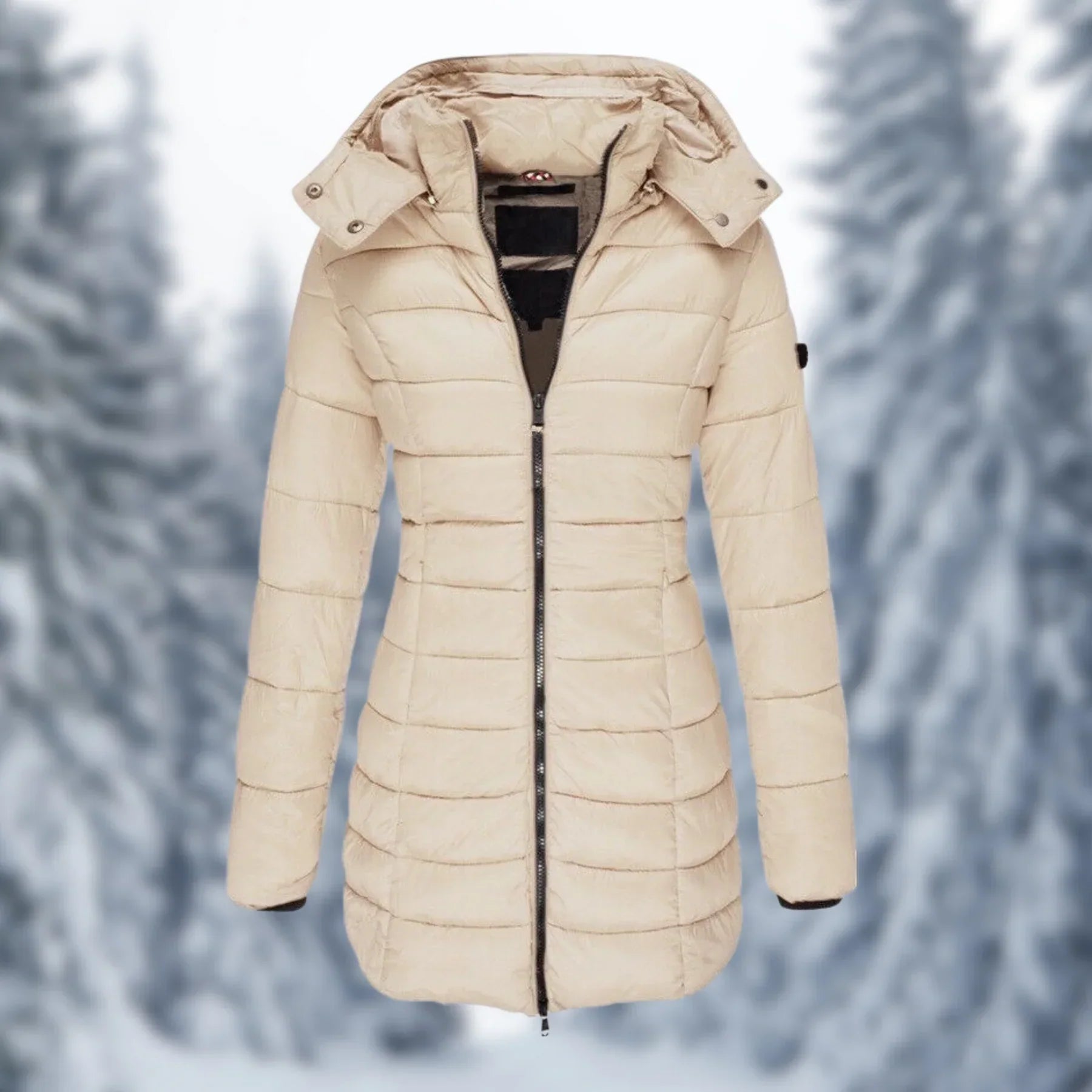 Olvoria | Women's Mid-Length Padded Winter Coat with Hood