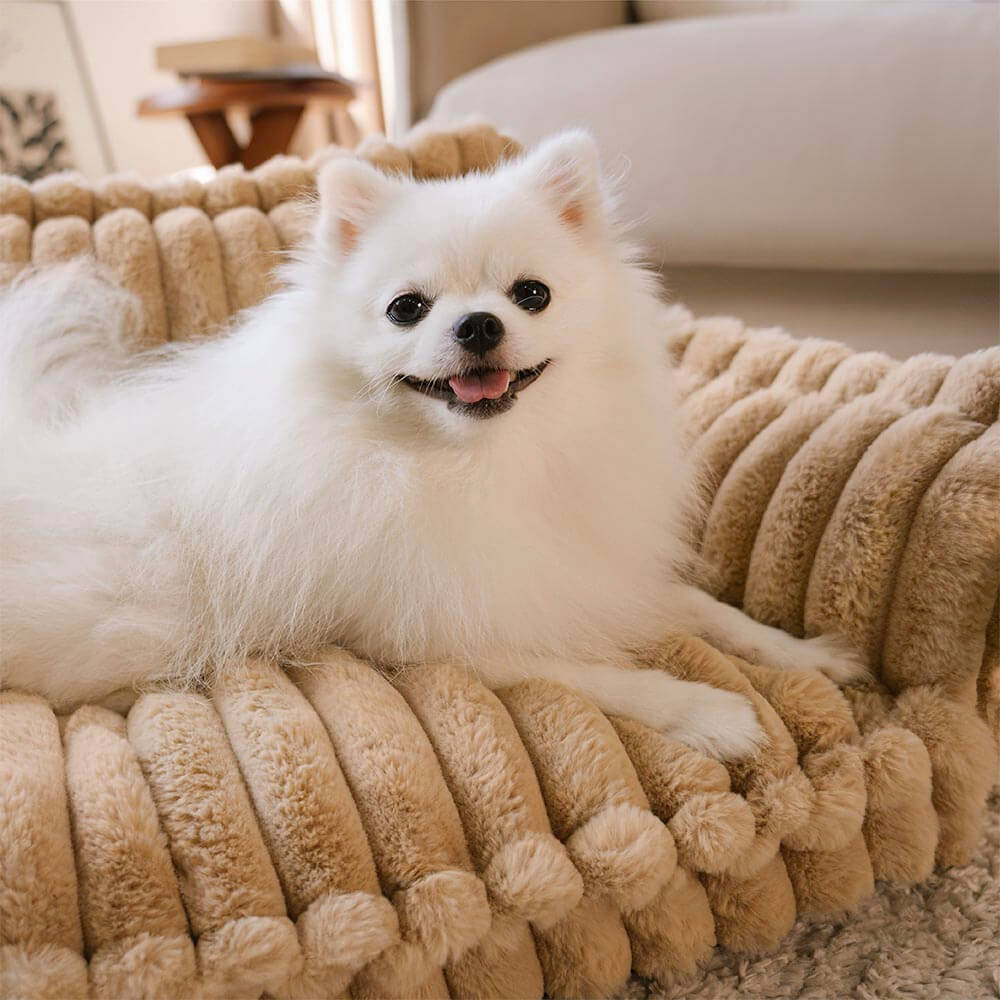 Orthopedic Dog Bed CaniSofa – Joint Support, Washable Cover, Comfortable Headrest