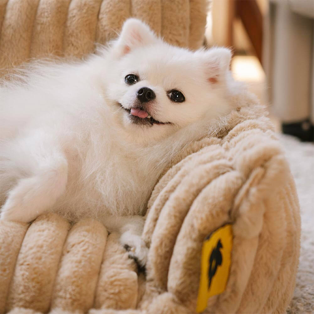 Orthopedic Dog Bed CaniSofa – Joint Support, Washable Cover, Comfortable Headrest