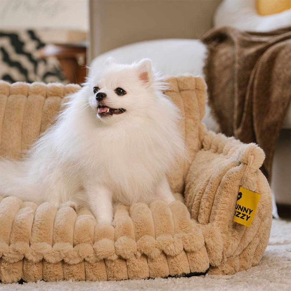 Orthopedic Dog Bed CaniSofa – Joint Support, Washable Cover, Comfortable Headrest