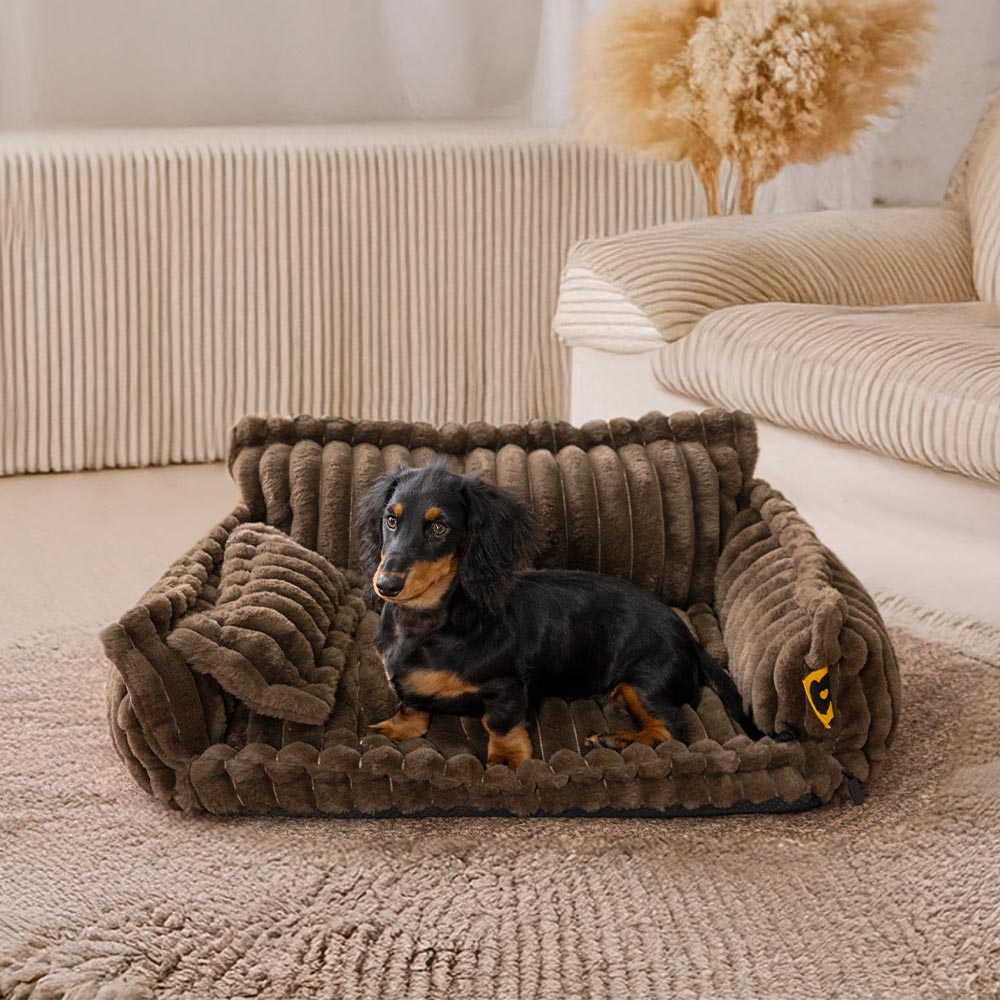 Orthopedic Dog Bed CaniSofa – Joint Support, Washable Cover, Comfortable Headrest