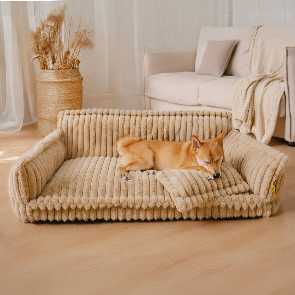 Orthopedic Dog Bed CaniSofa – Joint Support, Washable Cover, Comfortable Headrest