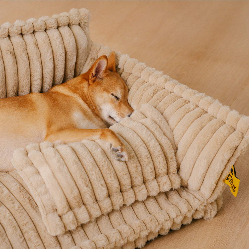 Orthopedic Dog Bed CaniSofa – Joint Support, Washable Cover, Comfortable Headrest
