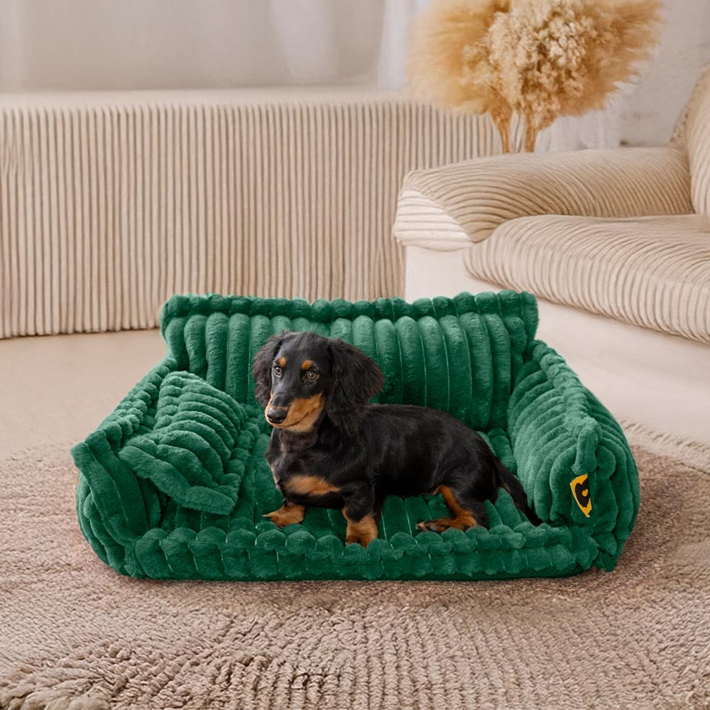 Orthopedic Dog Bed CaniSofa – Joint Support, Washable Cover, Comfortable Headrest