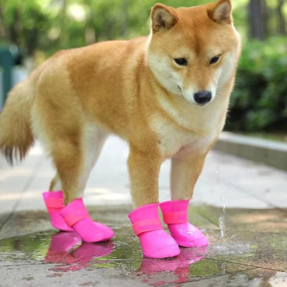 Pawsafe • Waterproof Dog Boots