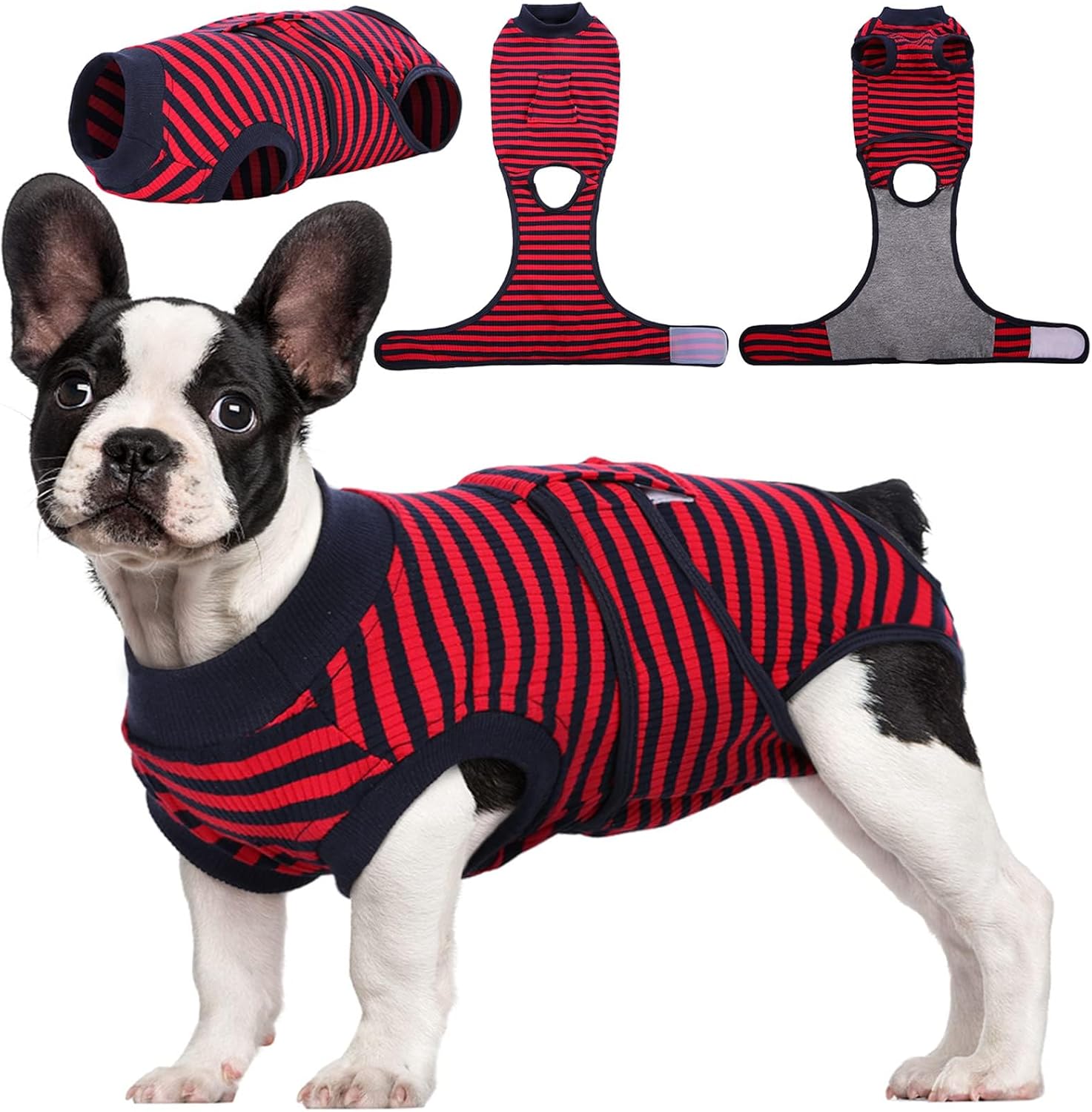 Quick Recovery Suit for Pets – Healing After Surgery