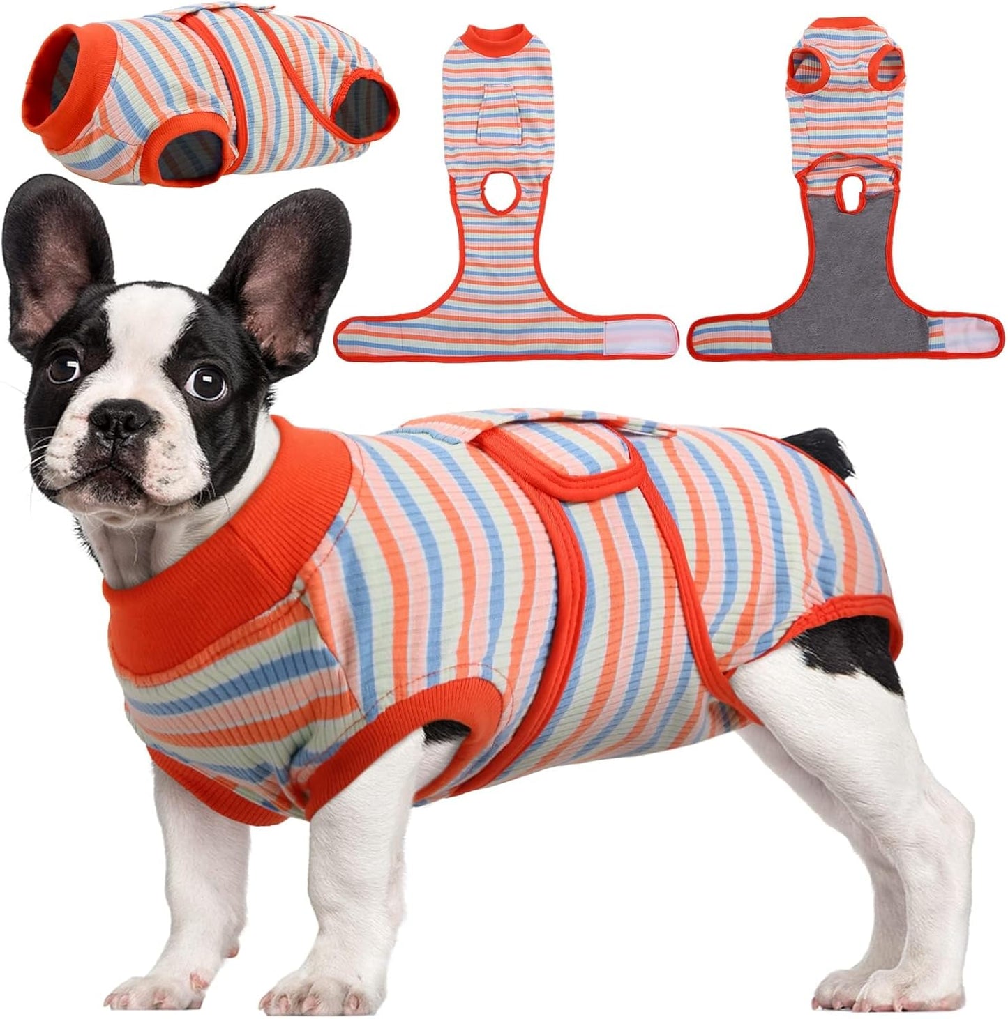 Quick Recovery Suit for Pets – Healing After Surgery