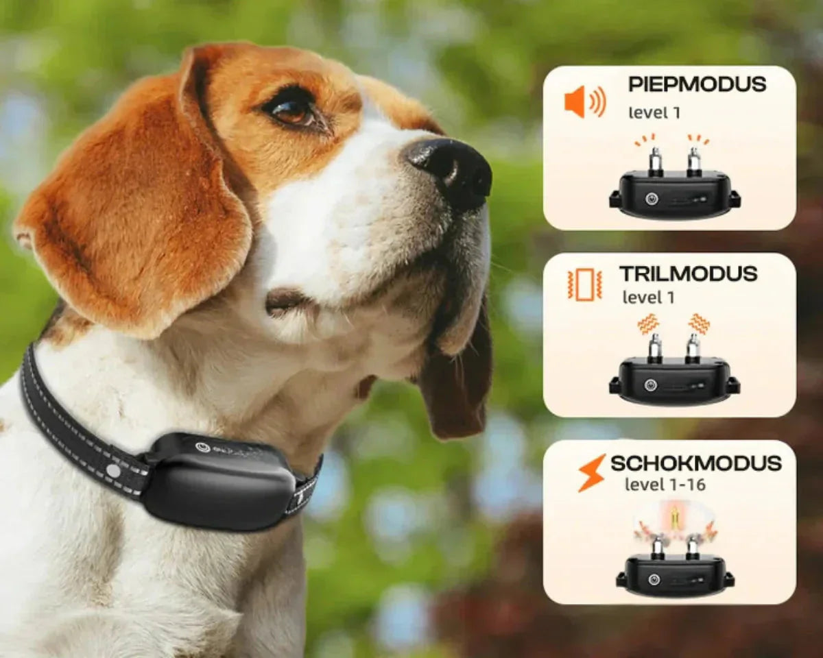 Remote Dog Training Collar – Waterproof E-Collar with 16 Shock, Vibration, and Range Levels up to 1000 m