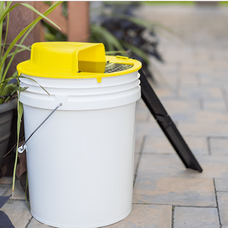 Reusable Rat Trap Bucket Lock Pest Catcher