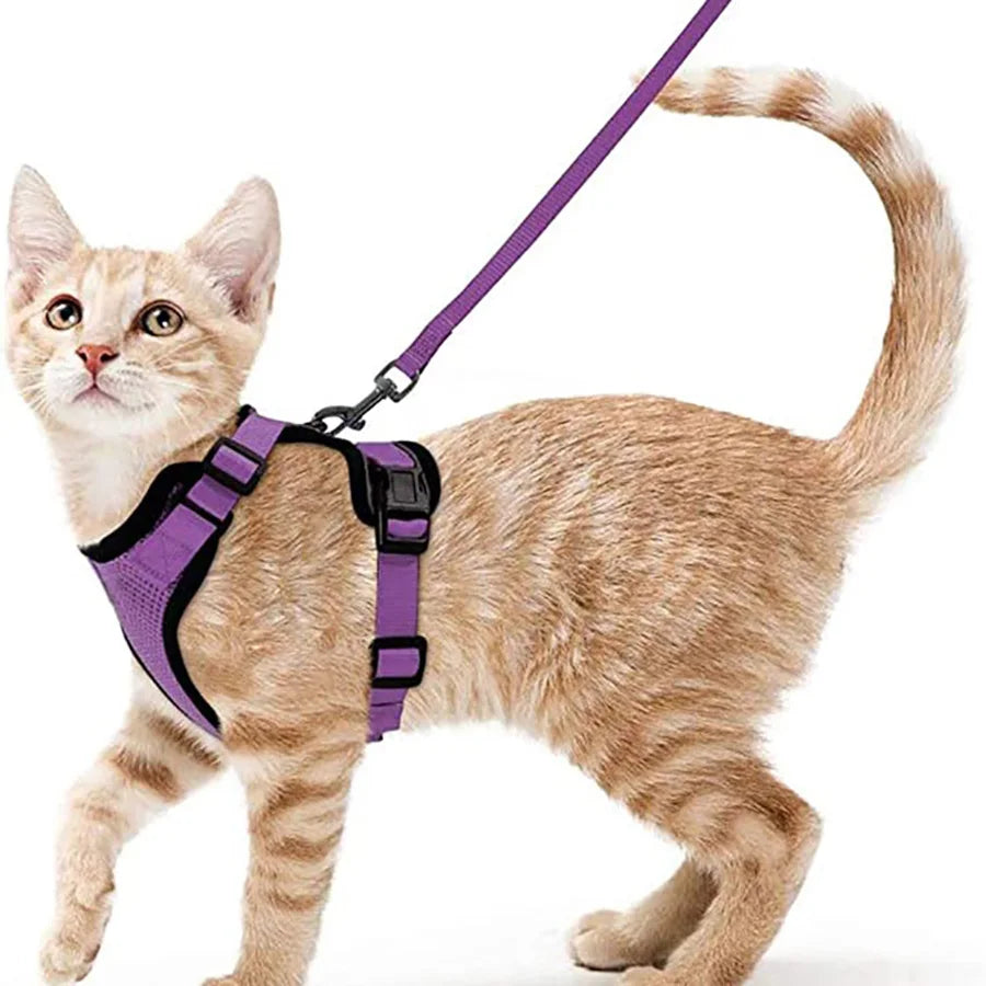 Soft and Safe Harnesses for Walking with Your Cat