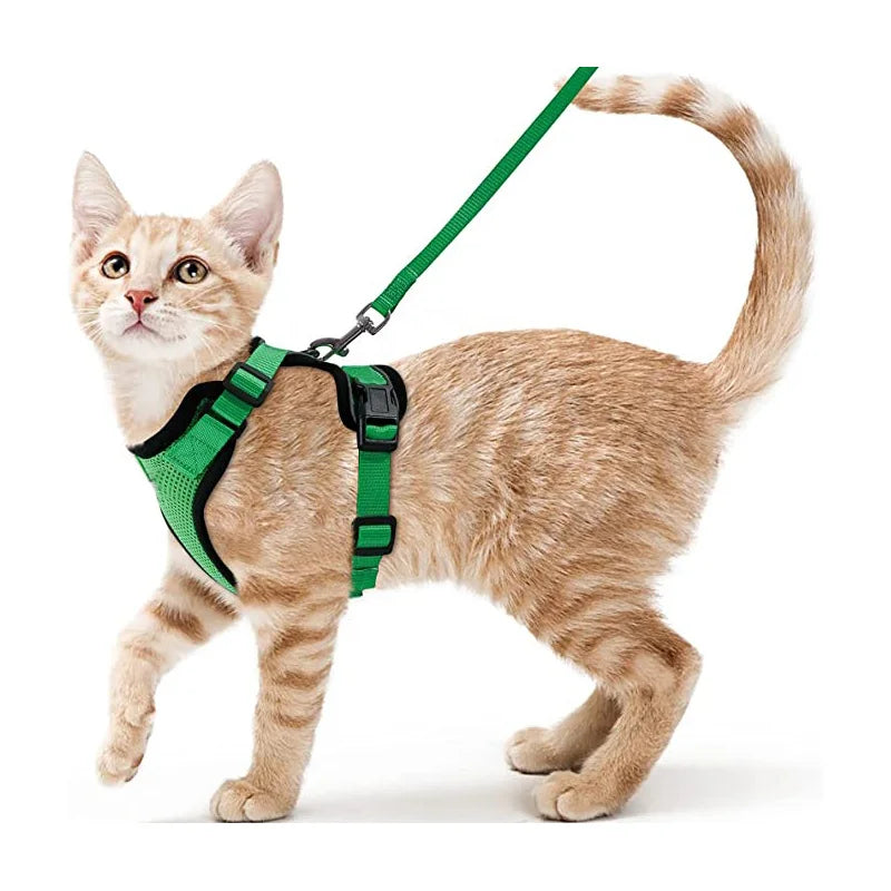 Soft and Safe Harnesses for Walking with Your Cat